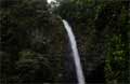 La Fortuna Costa Rica - Wasserfall Bild 1