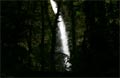 La Fortuna Costa Rica - Wasserfall Bild 10