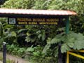Bilder von Santa Elena Nebelwald Reservat Costa Rica